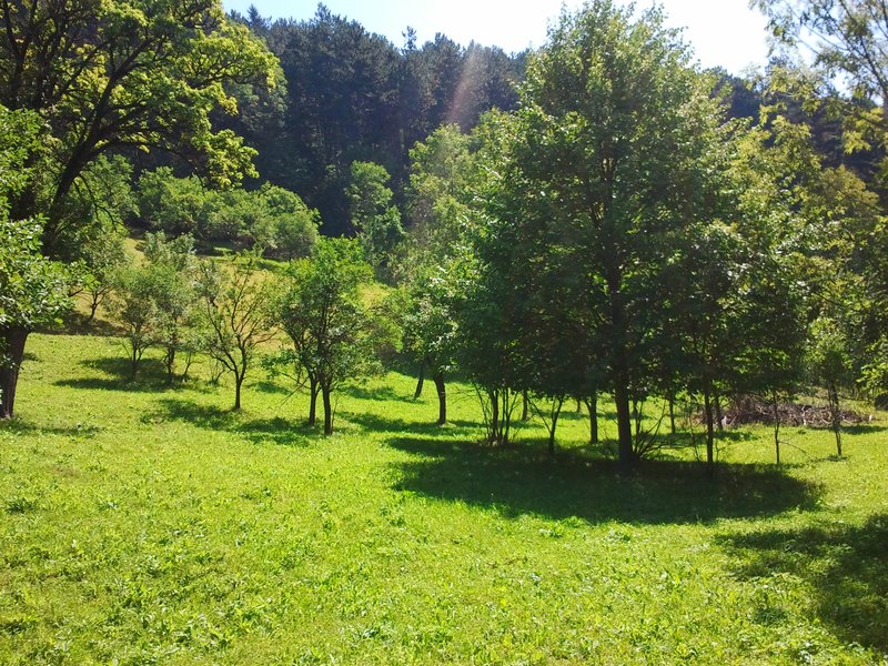 Posada- Sinaia 4 km, intravilan, 4.350 mp, deschidere- intrare din DN1, 11m