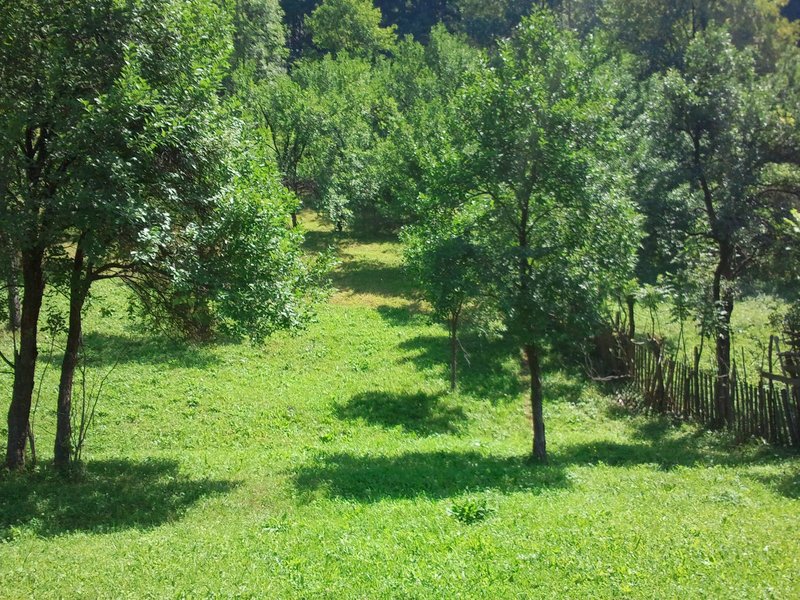 Posada- Sinaia 4 km, intravilan, 4.350 mp, deschidere- intrare din DN1, 11m