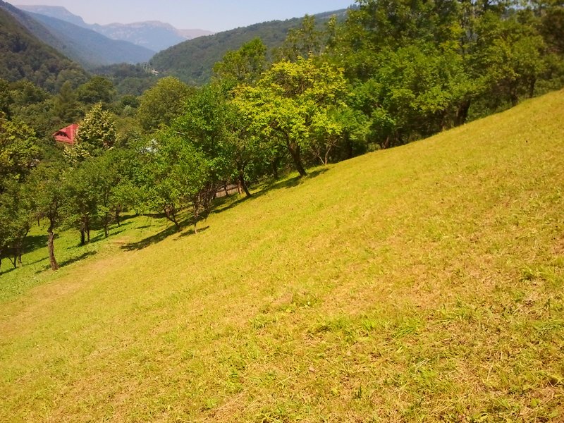 Posada- Sinaia 4 km, intravilan, 4.350 mp, deschidere- intrare din DN1, 11m