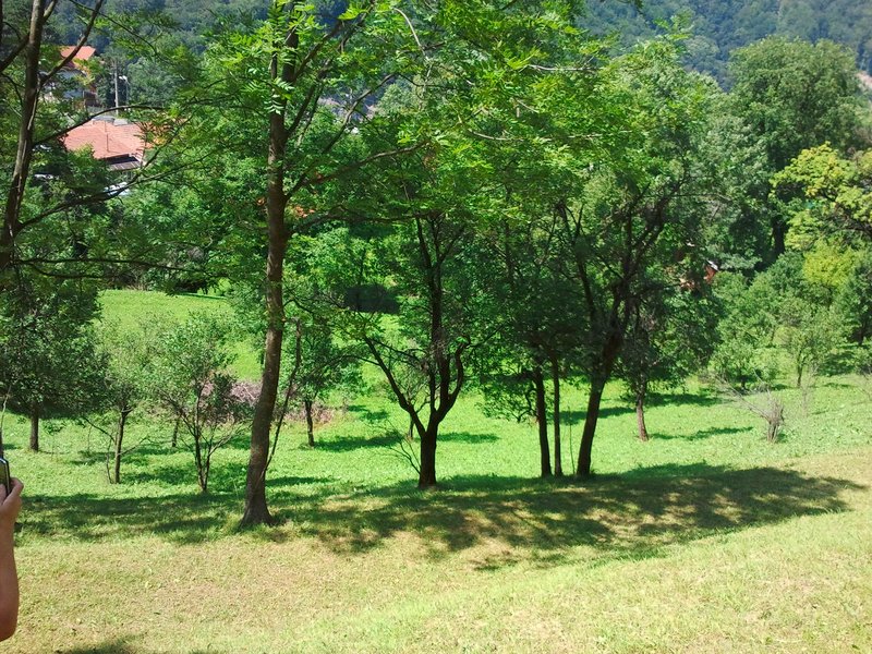 Posada- Sinaia 4 km, intravilan, 4.350 mp, deschidere- intrare din DN1, 11m